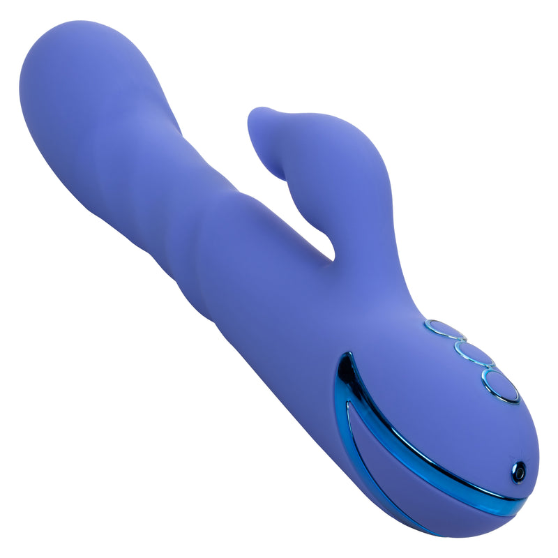 CalExotics California Dreaming L.a. Love - Blue