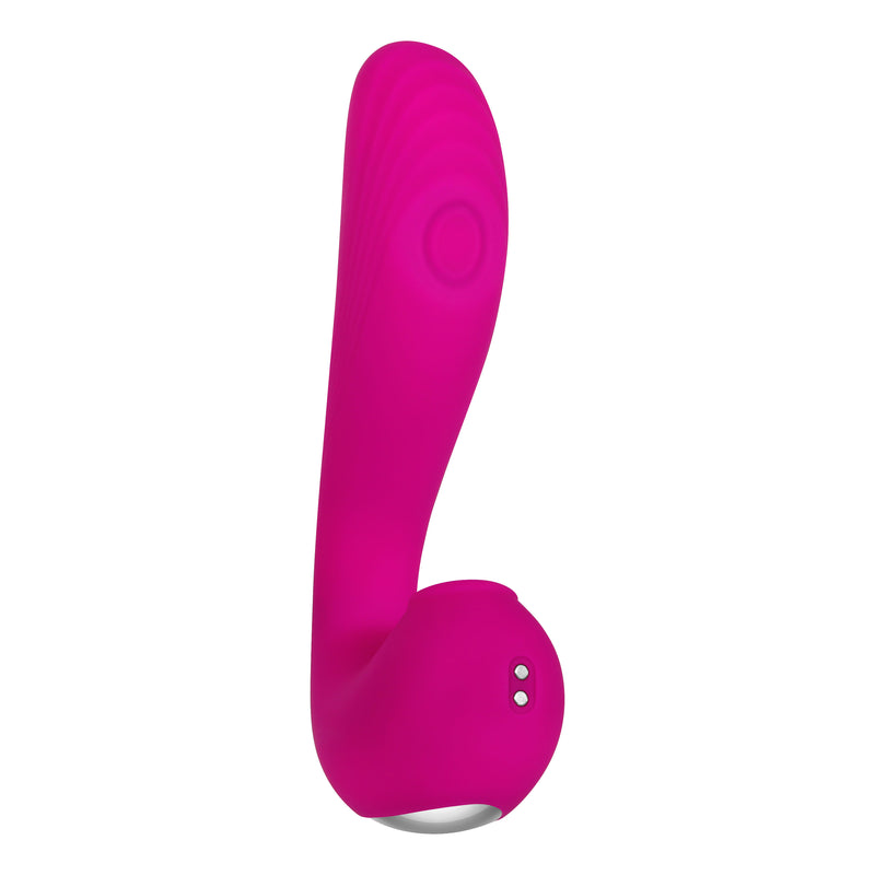 Evolved Novelties The Note