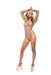 "Taste the Rainbow Teddy and Thigh Hi Set - Rainbow PKL-20044RNBWOS"