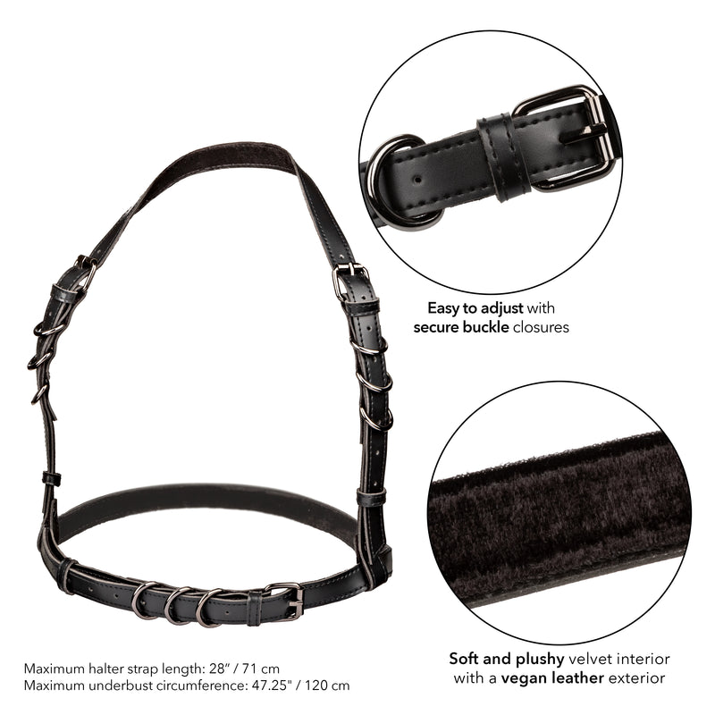 CalExotics Euphoria Collection Plus Size Halter Buckle Harness - Black