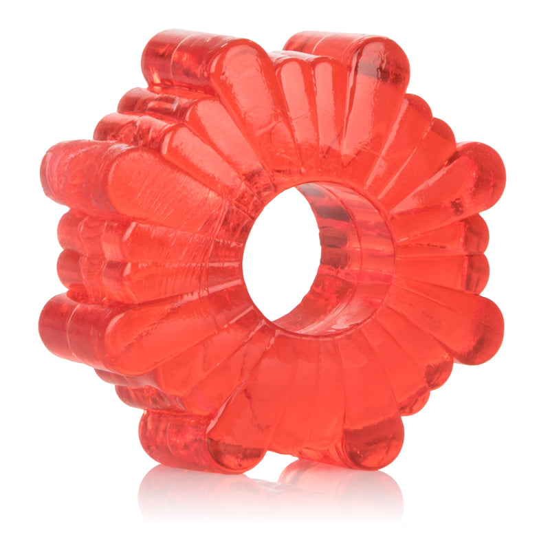 CalExotics Basic Essentials 4 Pack - Red