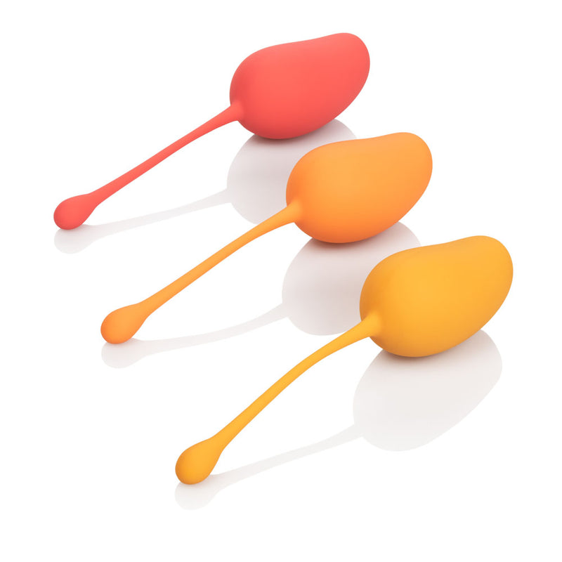 CalExotics Kegel Training Set Mango