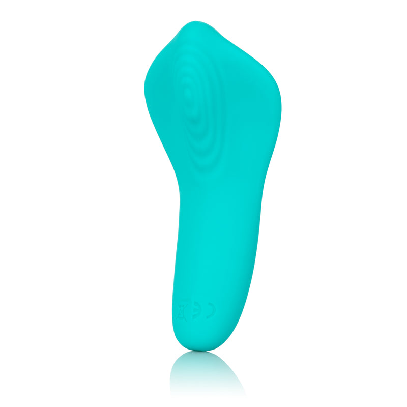 CalExotics Slay Pleaser