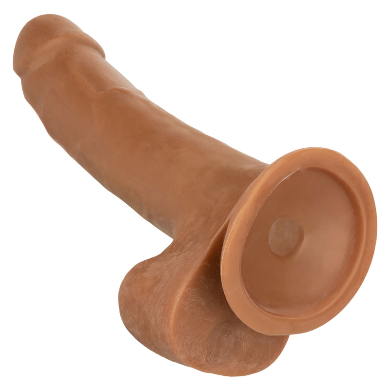CalExotics Size Queen 8 inch/20.25 Cm - Brown