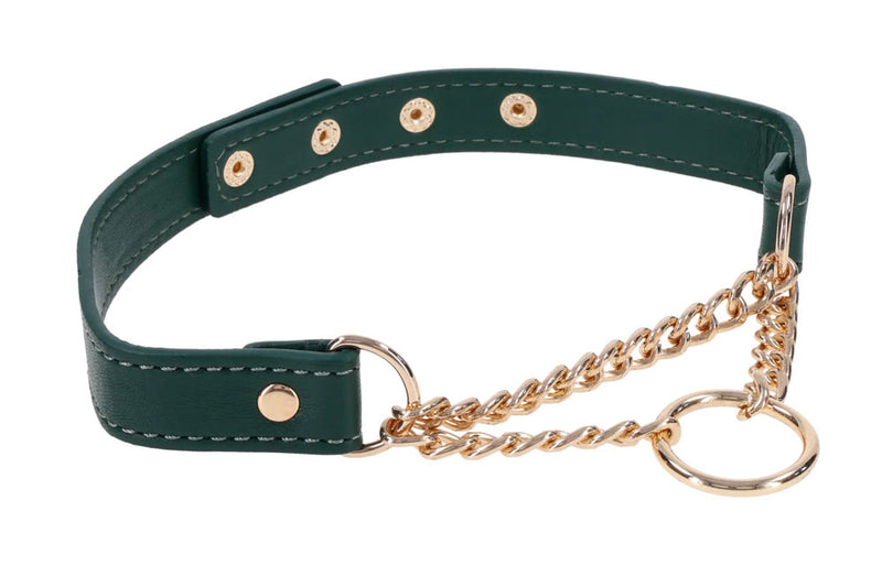 Sportsheets Indica Day Collar - Green