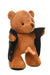 "The Flasher Exhibitionist Teddy Bear Plush MS-AH522"