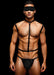 "Envy 3 Pc Wet Look Chest Harness - Large/xlarge - Black EV-BLEC13BKLXL"