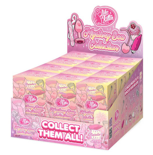 "Mystery Box 12 Pc. Display - Natalies Toy Box Edition LAK-9001"