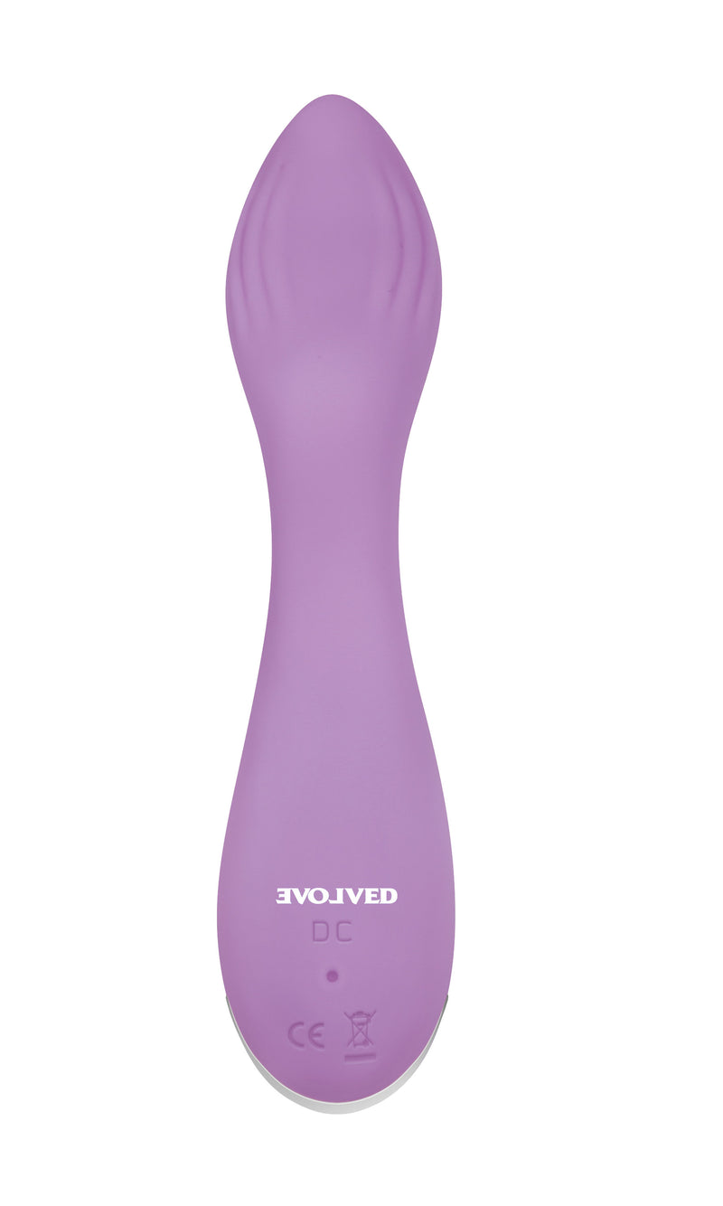Evolved Novelties Lilac G